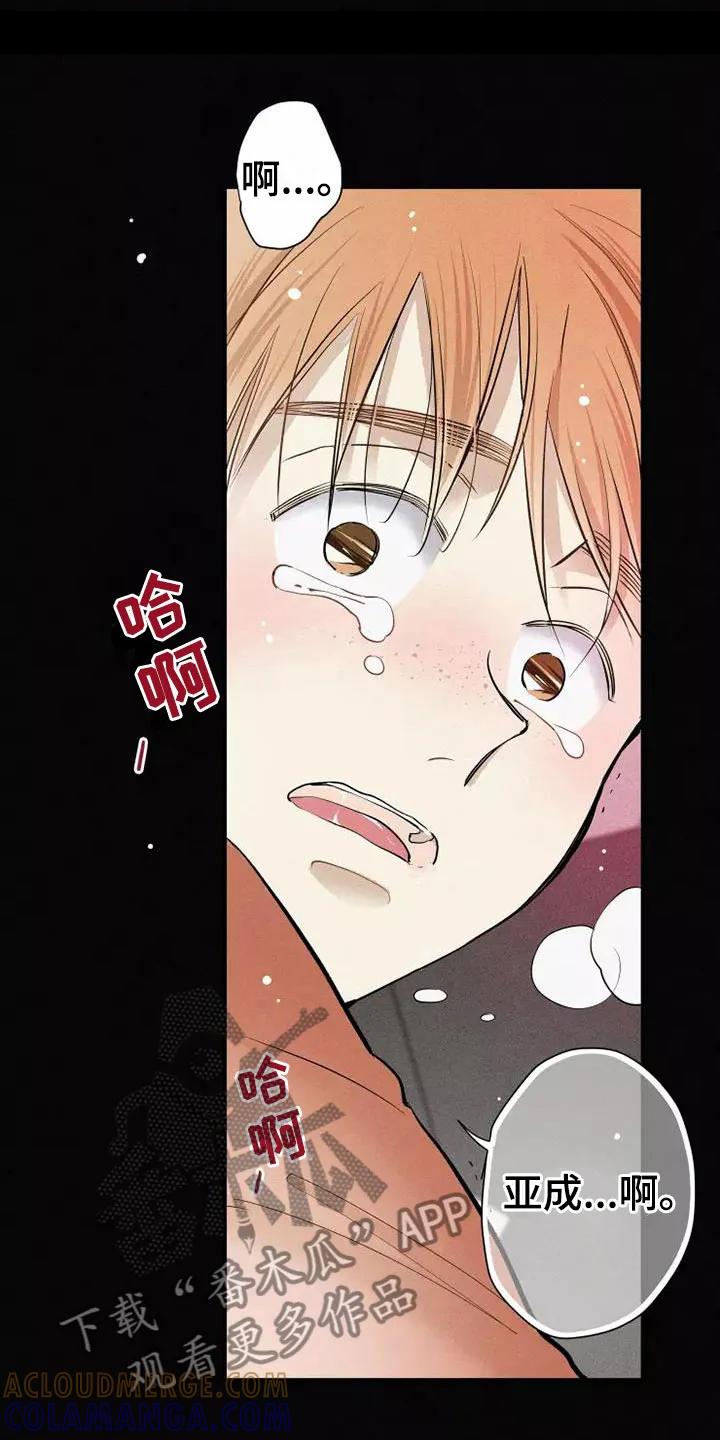 念念不忘 第19章：不知所措 第5页