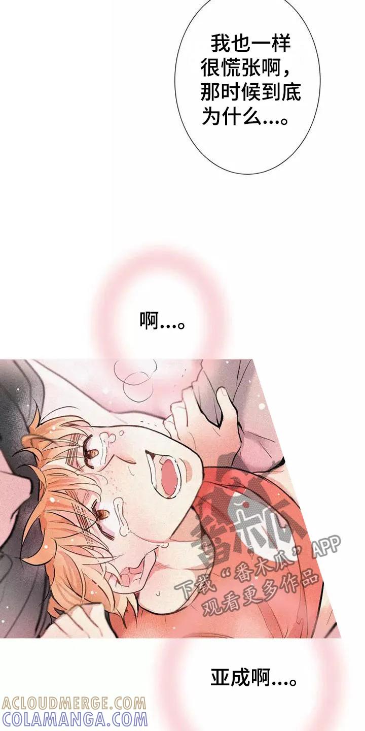念念不忘 第20章：逃跑 第21页