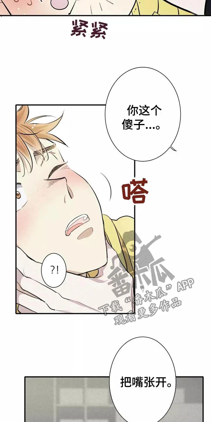 念念不忘 第5章： 初吻 第4页