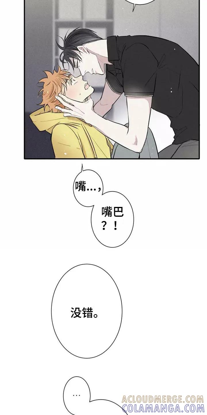 念念不忘 第5章： 初吻 第5页