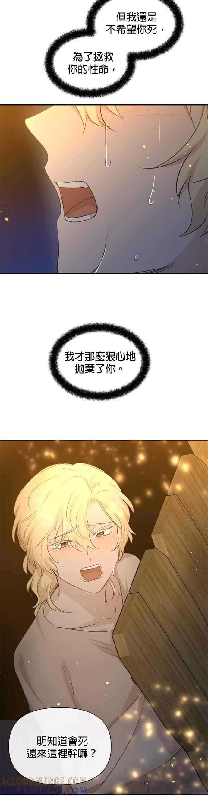 《金色森林》第75话 第43页
