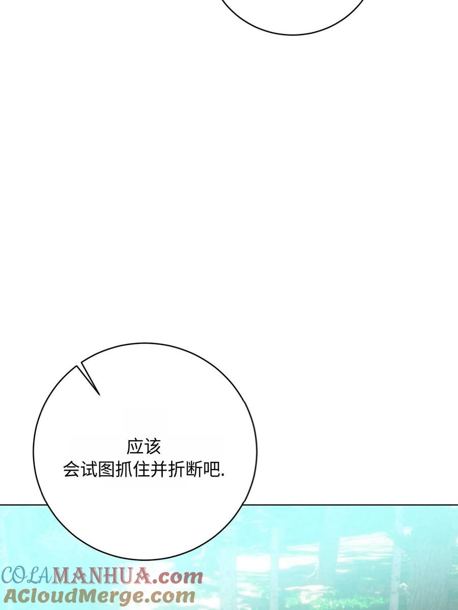 《两个丈夫的婚约》第21话 第117页