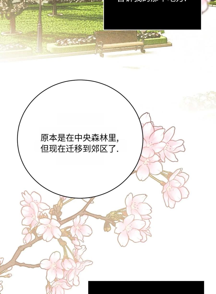《两个丈夫的婚约》第22话 第119页