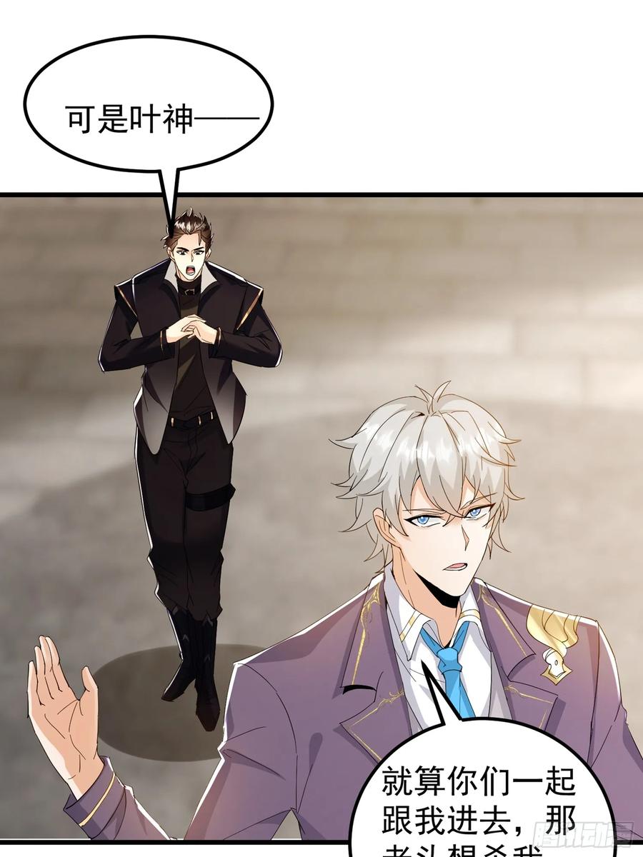 《战神龙婿》10话 叶家灭门的真相 第29页