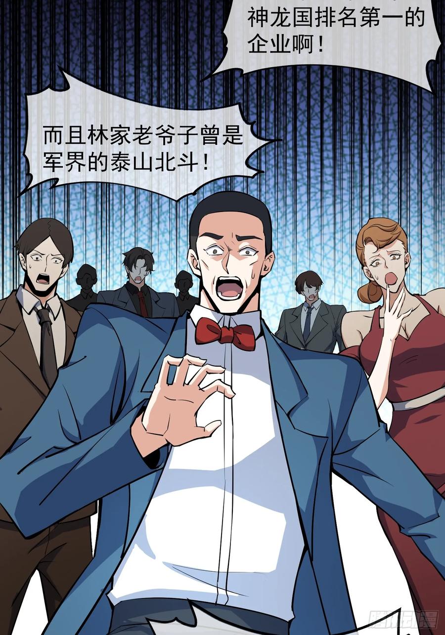 《战神龙婿》03话 王家宴会 第20页