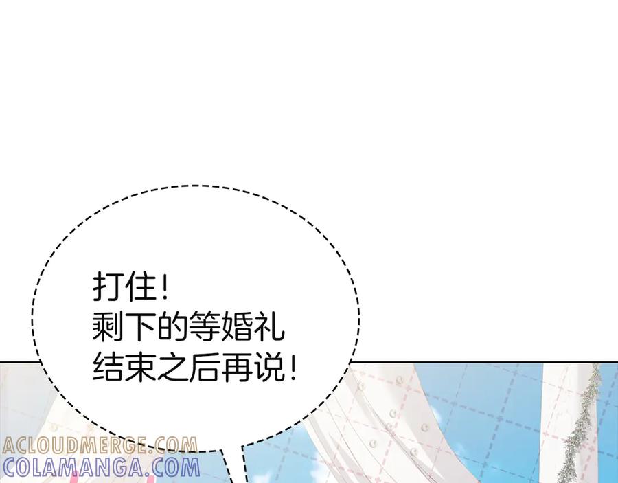 233.jpg