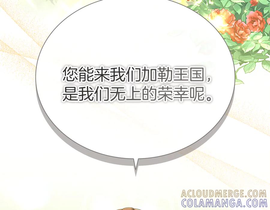 奶萌魔力小公主 番外27 无上荣幸 第149页