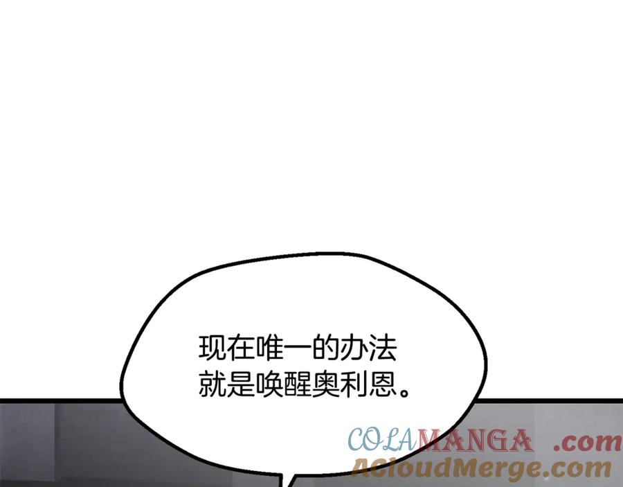 213.jpg