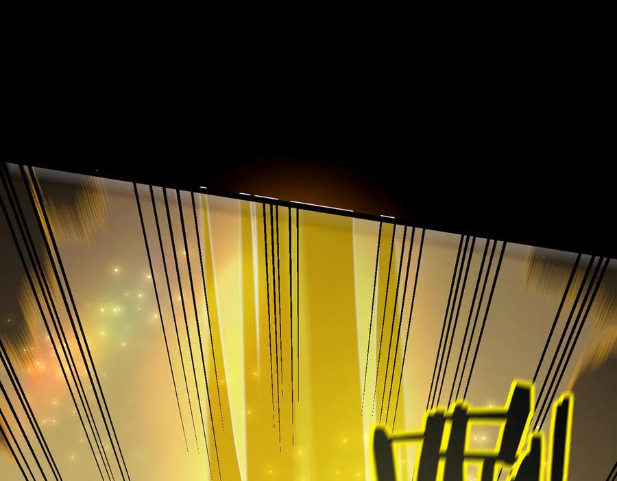 《SSS级超越常理的圣骑士》第45话 王轩的底牌 第66页