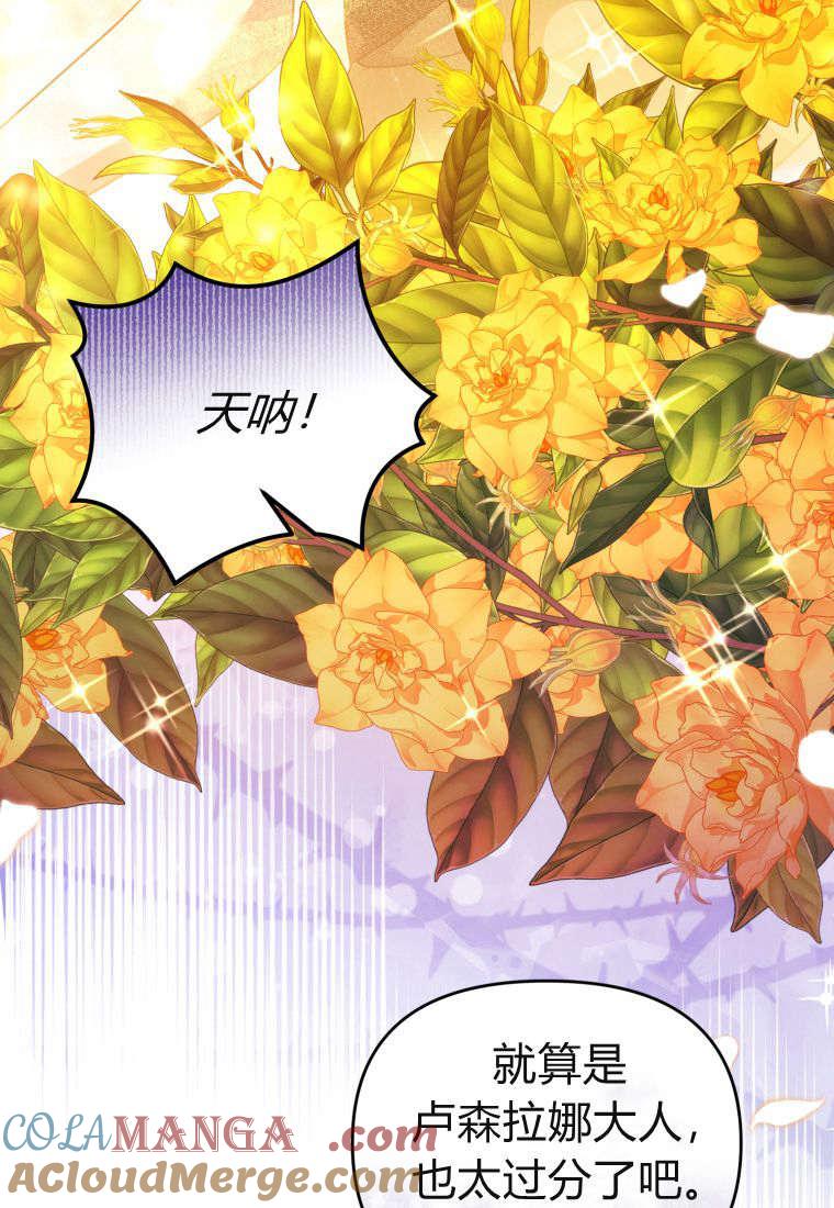 成为苏尔坦珍爱的猫咪 第47话 第82页