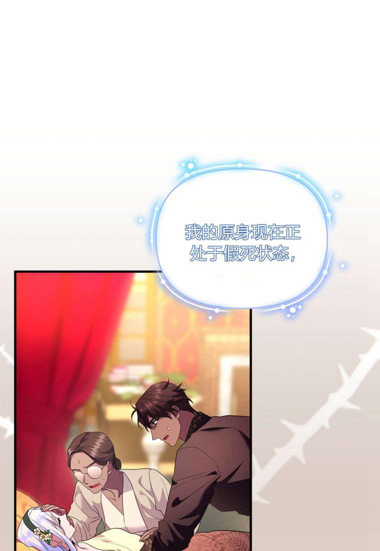 成为苏尔坦珍爱的猫咪 第48话 第8页