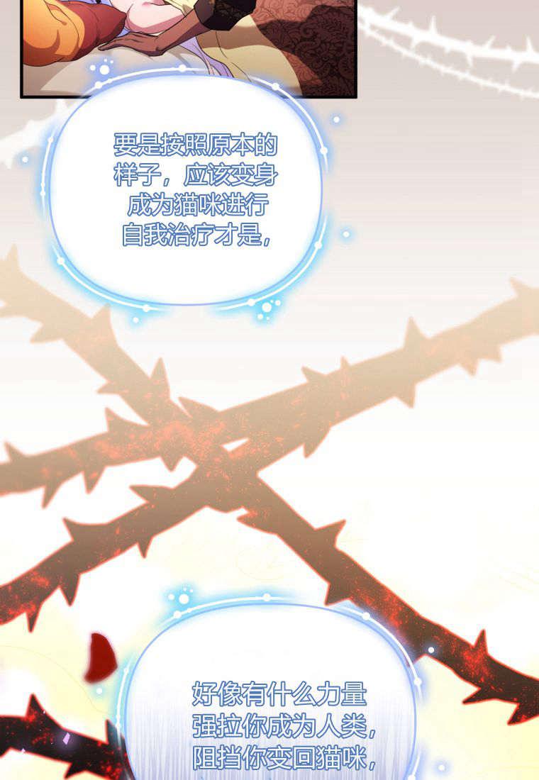 成为苏尔坦珍爱的猫咪 第48话 第9页