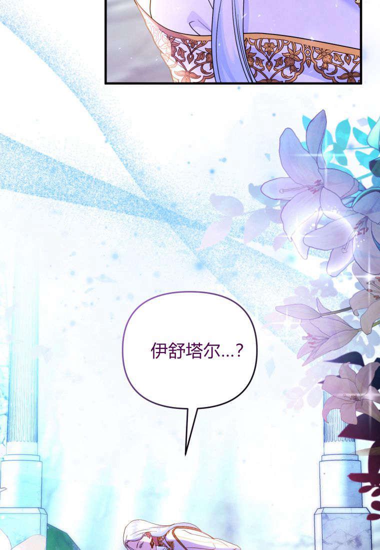成为苏尔坦珍爱的猫咪 第48话 第5页