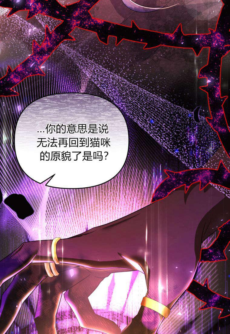 成为苏尔坦珍爱的猫咪 第48话 第11页