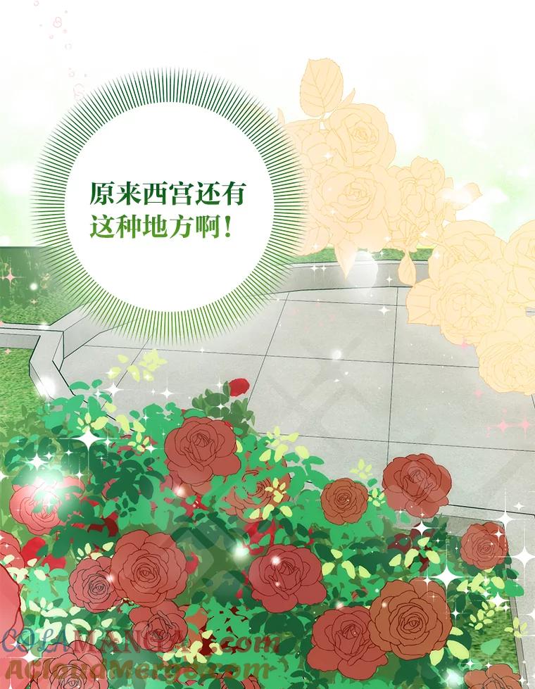 《成为短命女主的妹妹》35.再多喜欢我一点 第61页