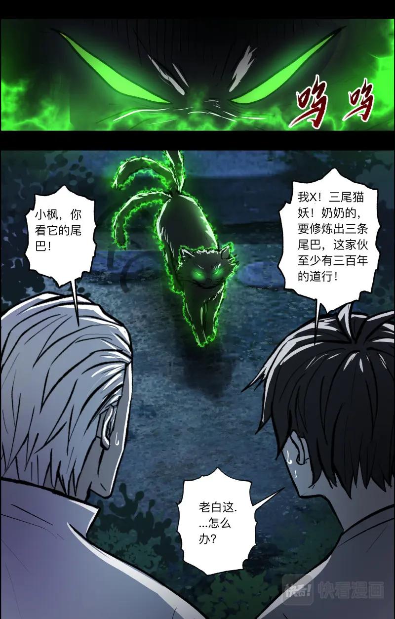 《出马仙：我当大仙那些年》第107话 三尾猫妖 第8页
