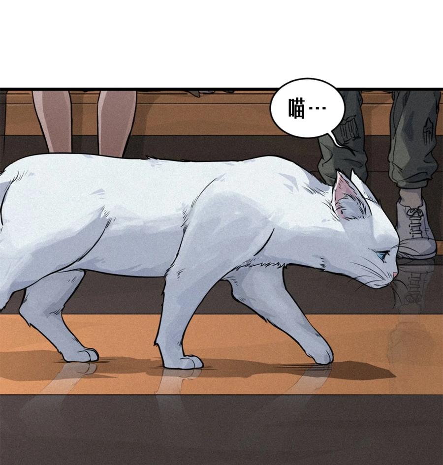 灵笼 · 月魁传 29话 护猫使者（上） 第27页