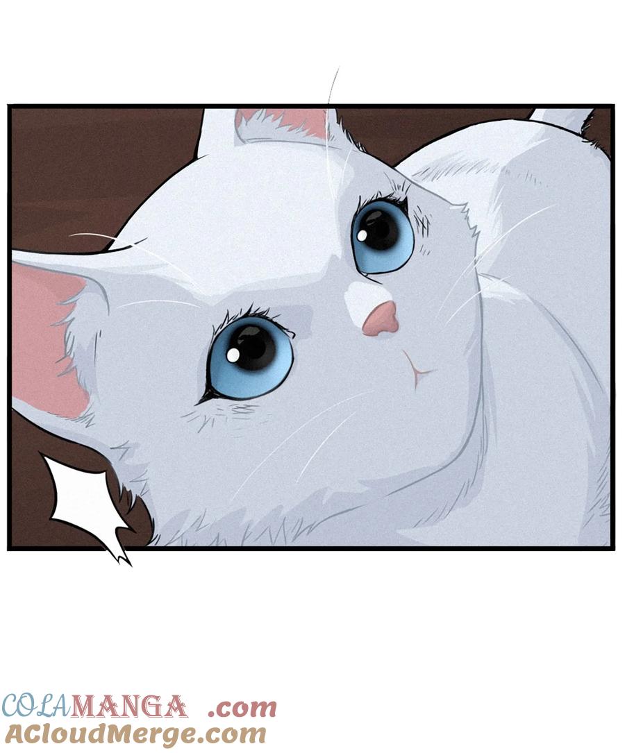 灵笼 · 月魁传 29话 护猫使者（上） 第19页
