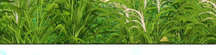 恋上月夜花蝶(新) - 106别离开我,哥哥! - 第55张图