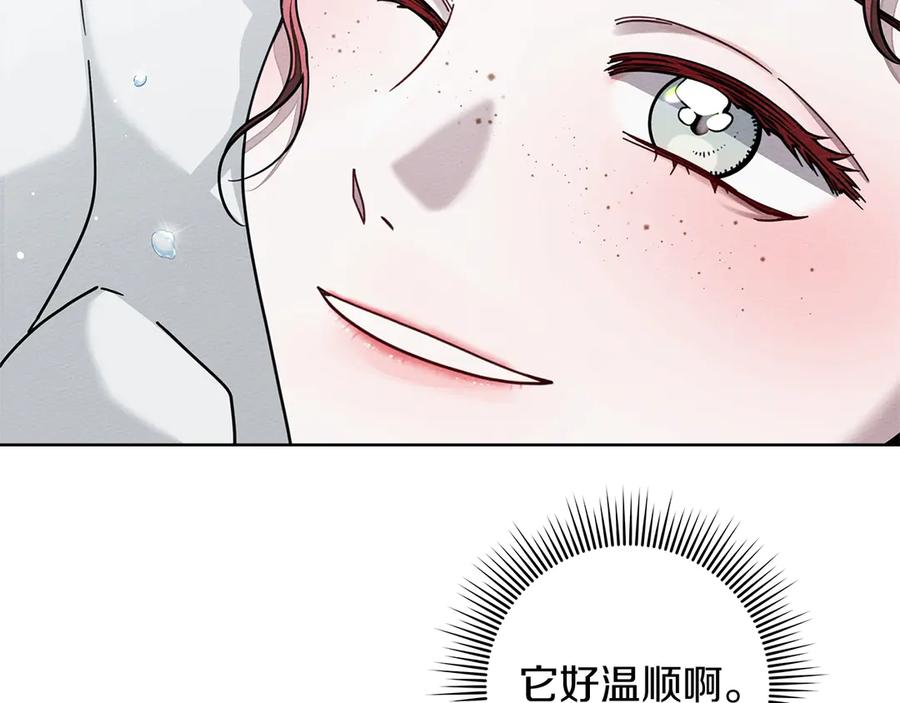《橡树之下》第102话 神秘白马 第144页