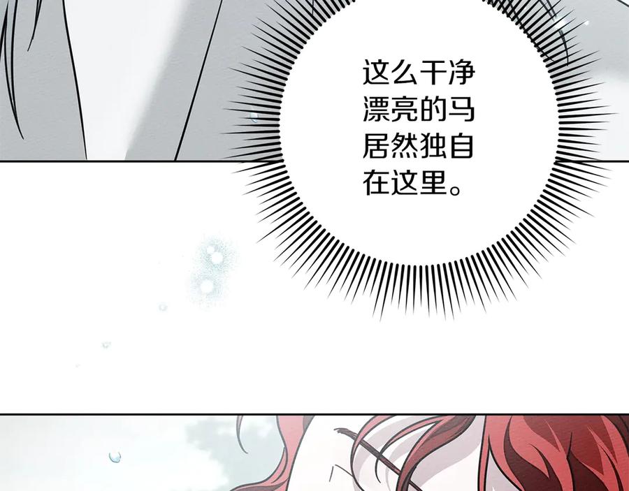 《橡树之下》第102话 神秘白马 第148页