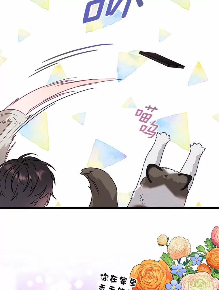 《蒂凡尼的早安吻》61.坦白 第88页