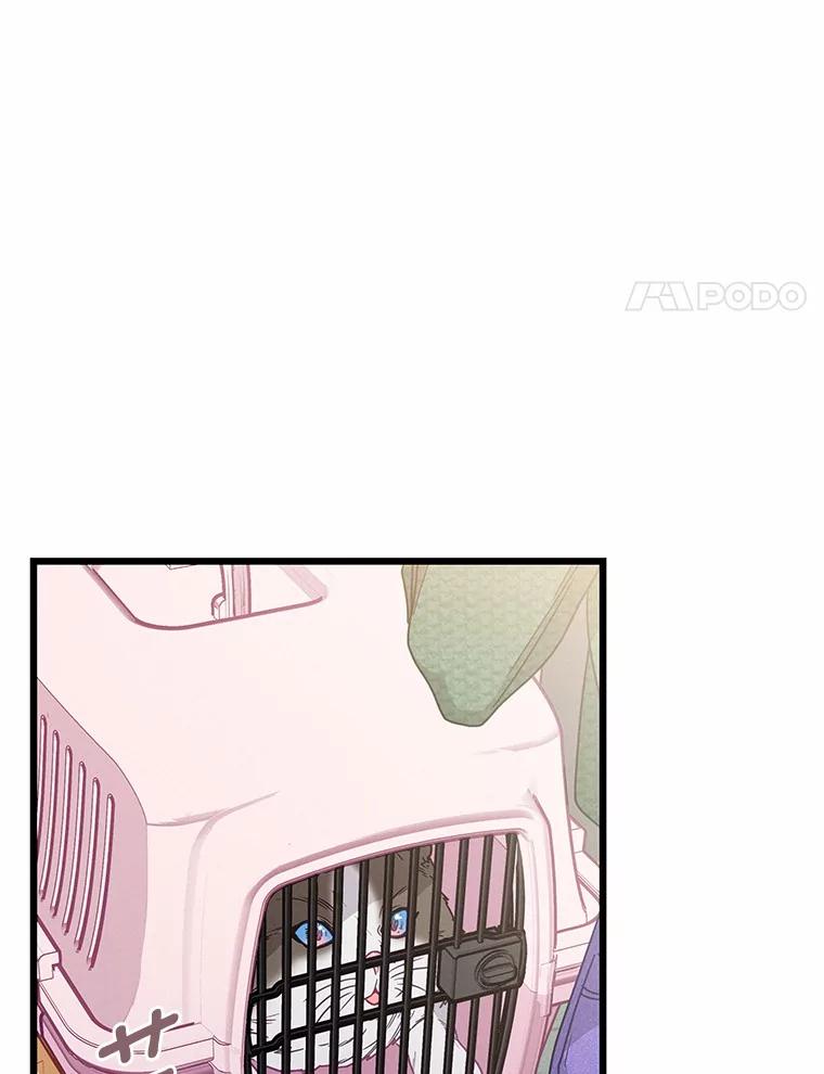《蒂凡尼的早安吻》72.未使用的心愿 第18页