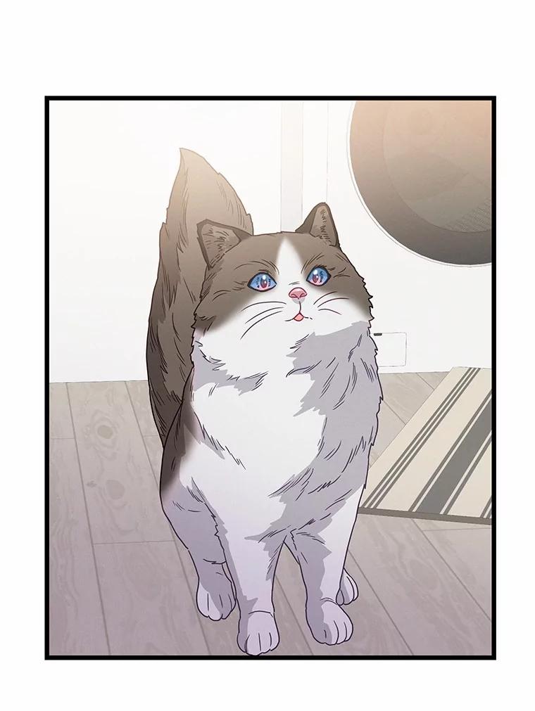 《蒂凡尼的早安吻》76.二次鉴定 第139页