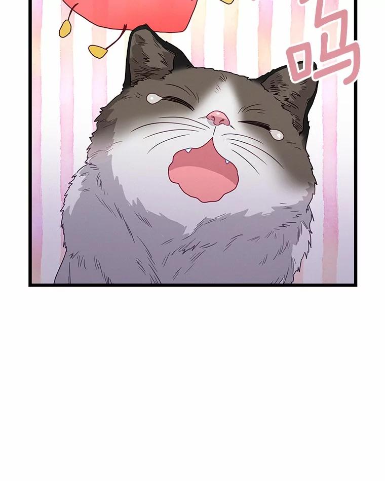 《蒂凡尼的早安吻》77.神秘黑衣人 第40页