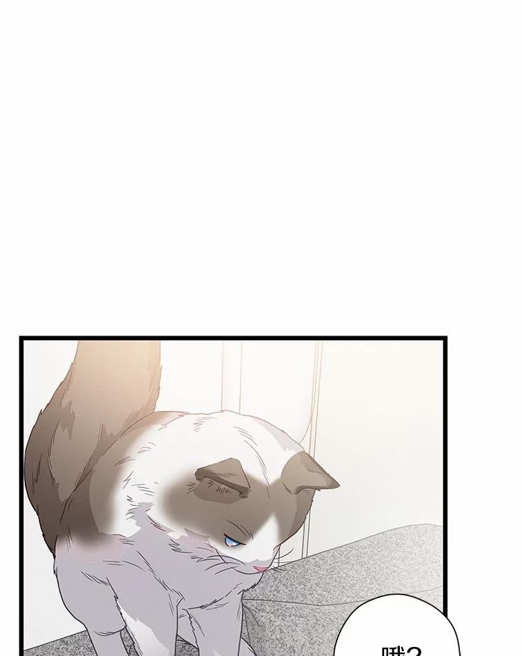 《蒂凡尼的早安吻》77.神秘黑衣人 第35页