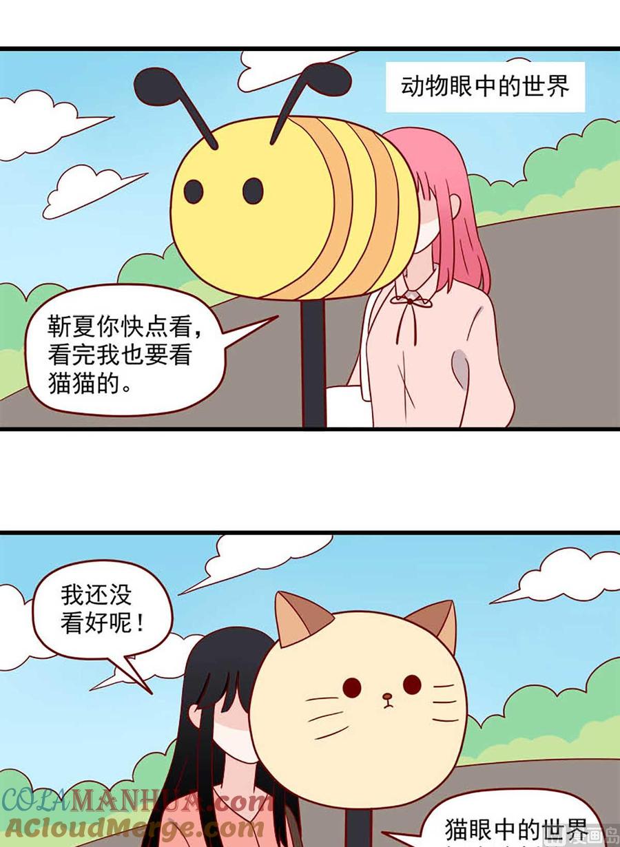 《离别的岛，重逢的岛》第202话 平常心 第5页