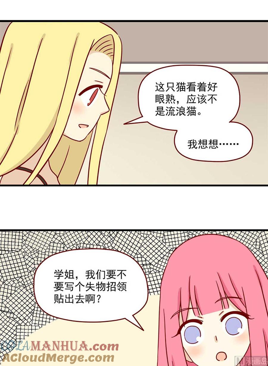 《离别的岛，重逢的岛》第23话 错误的相遇 第5页