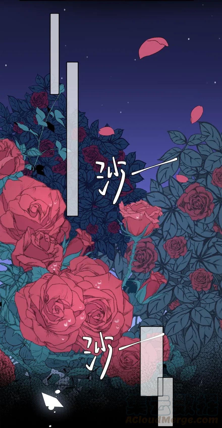 离别前后 - 005 重归，香山 - 第23张图