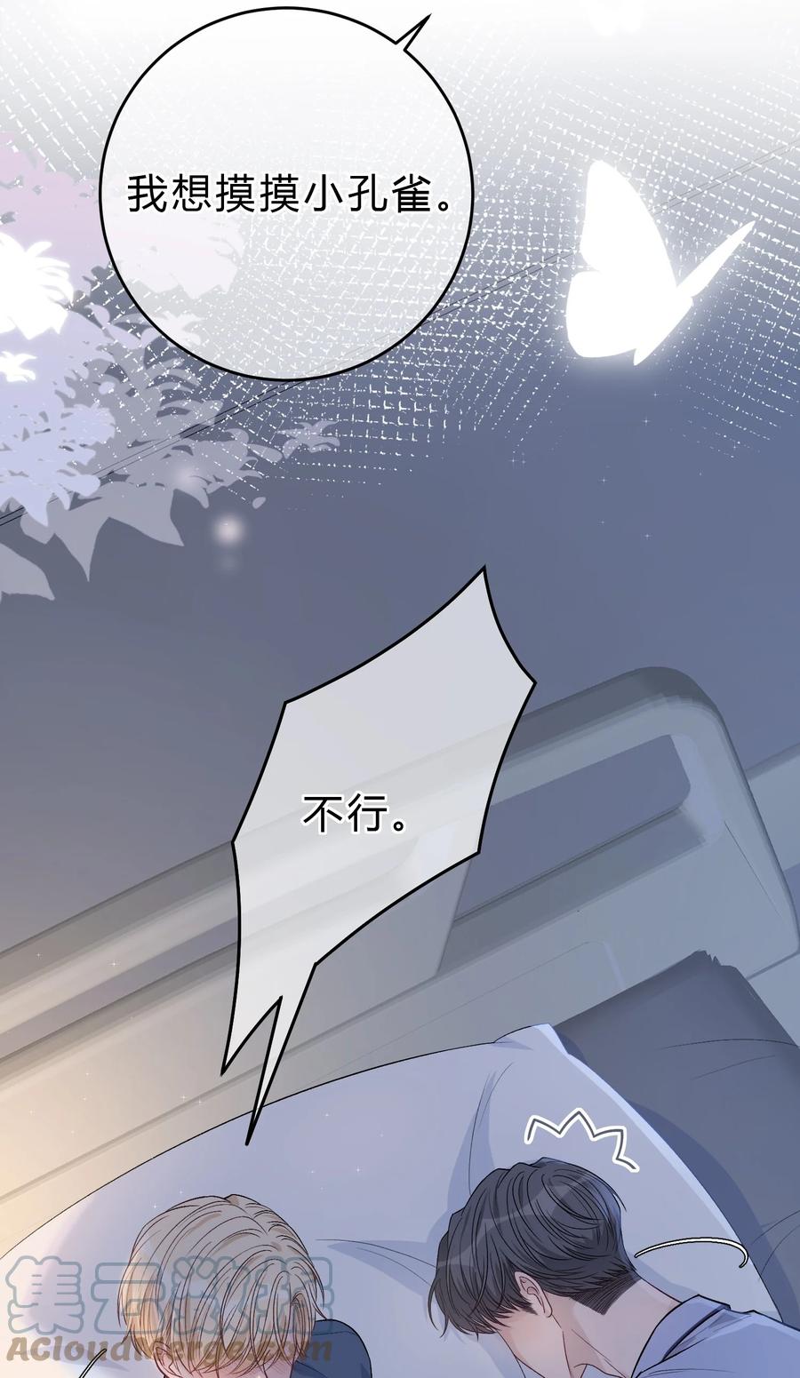 离别前后 - 085 番外·我想摸摸小孔雀 - 第23张图