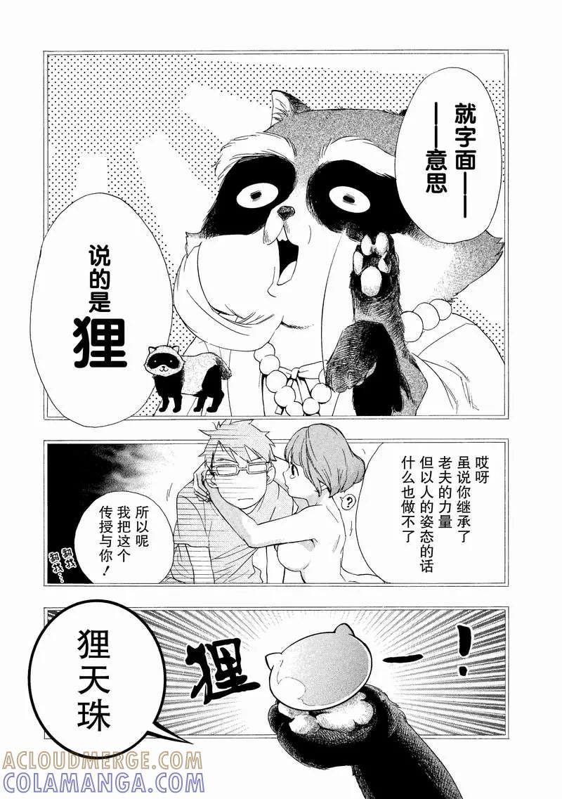 《狸公主的恋爱小九九》第3话 于是变成狸 第13页