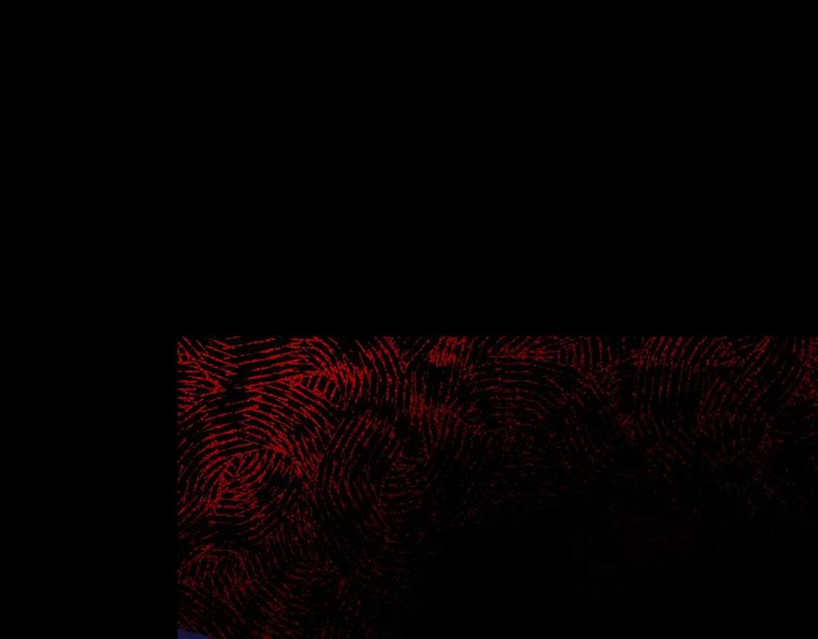 《猎魔烹饪手册》第16话 月光面具 第50页