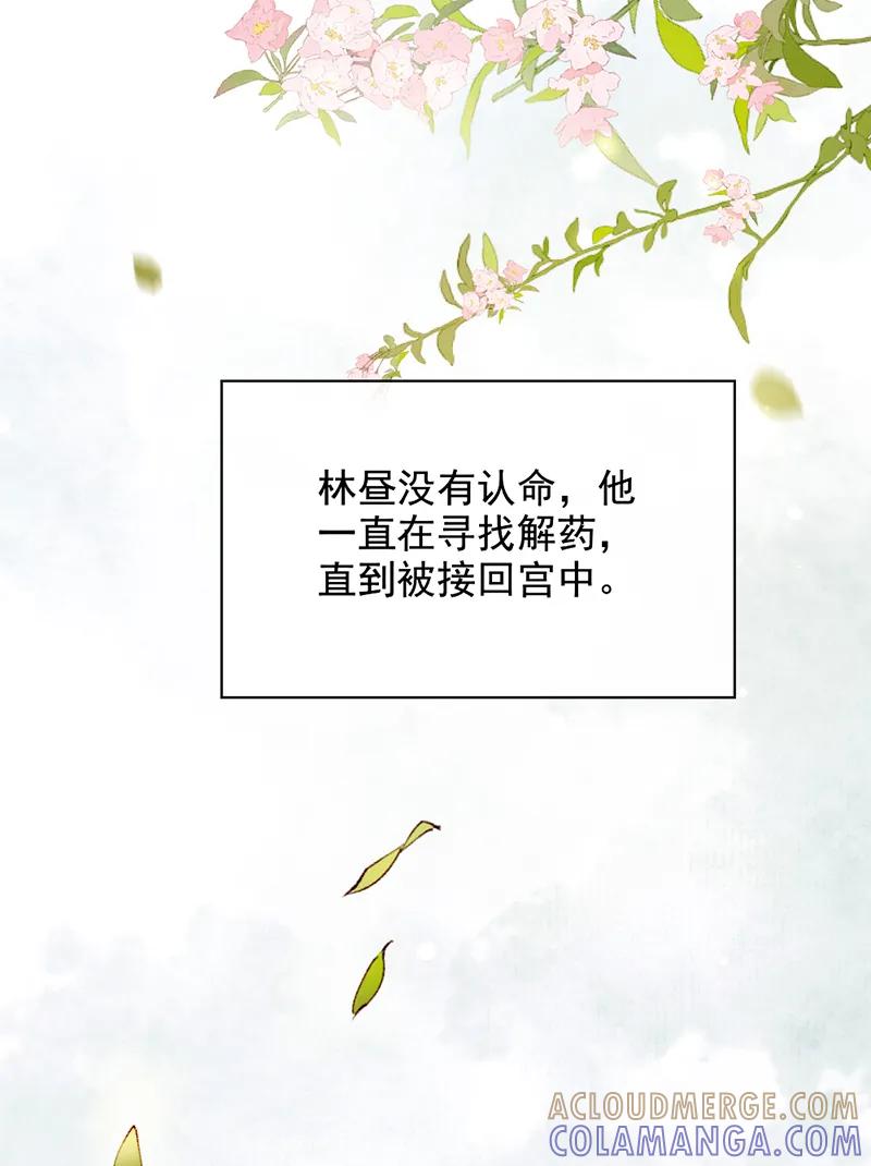 《炮灰今天也胜利了》第34话 第10页