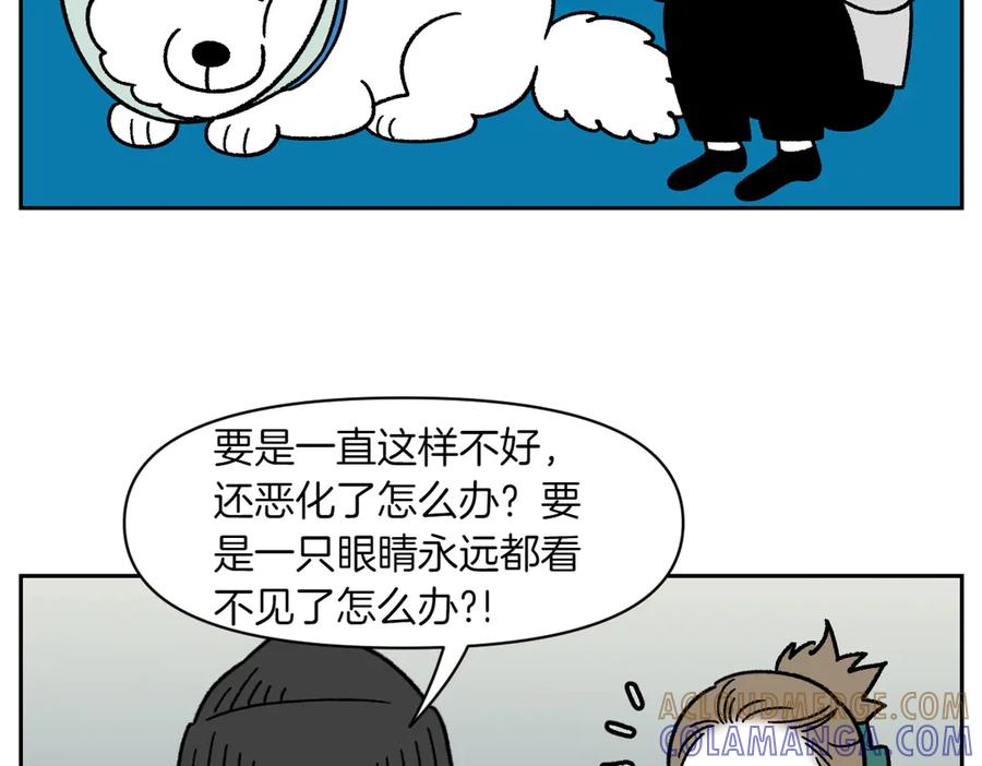 《我的狗子叫棉花》第44话 治疗眼病(3) 第13页