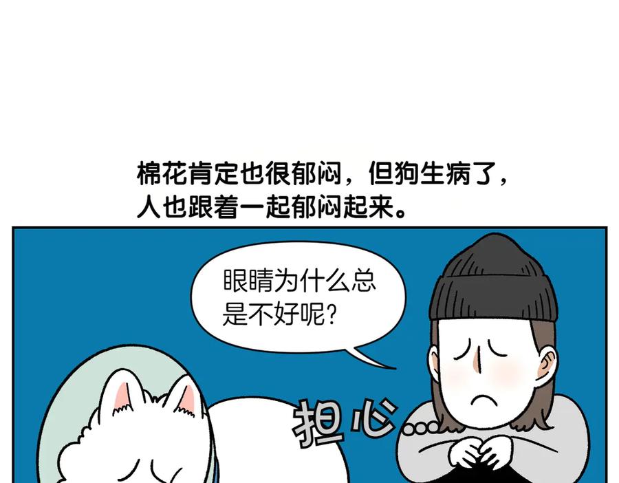 《我的狗子叫棉花》第44话 治疗眼病(3) 第12页