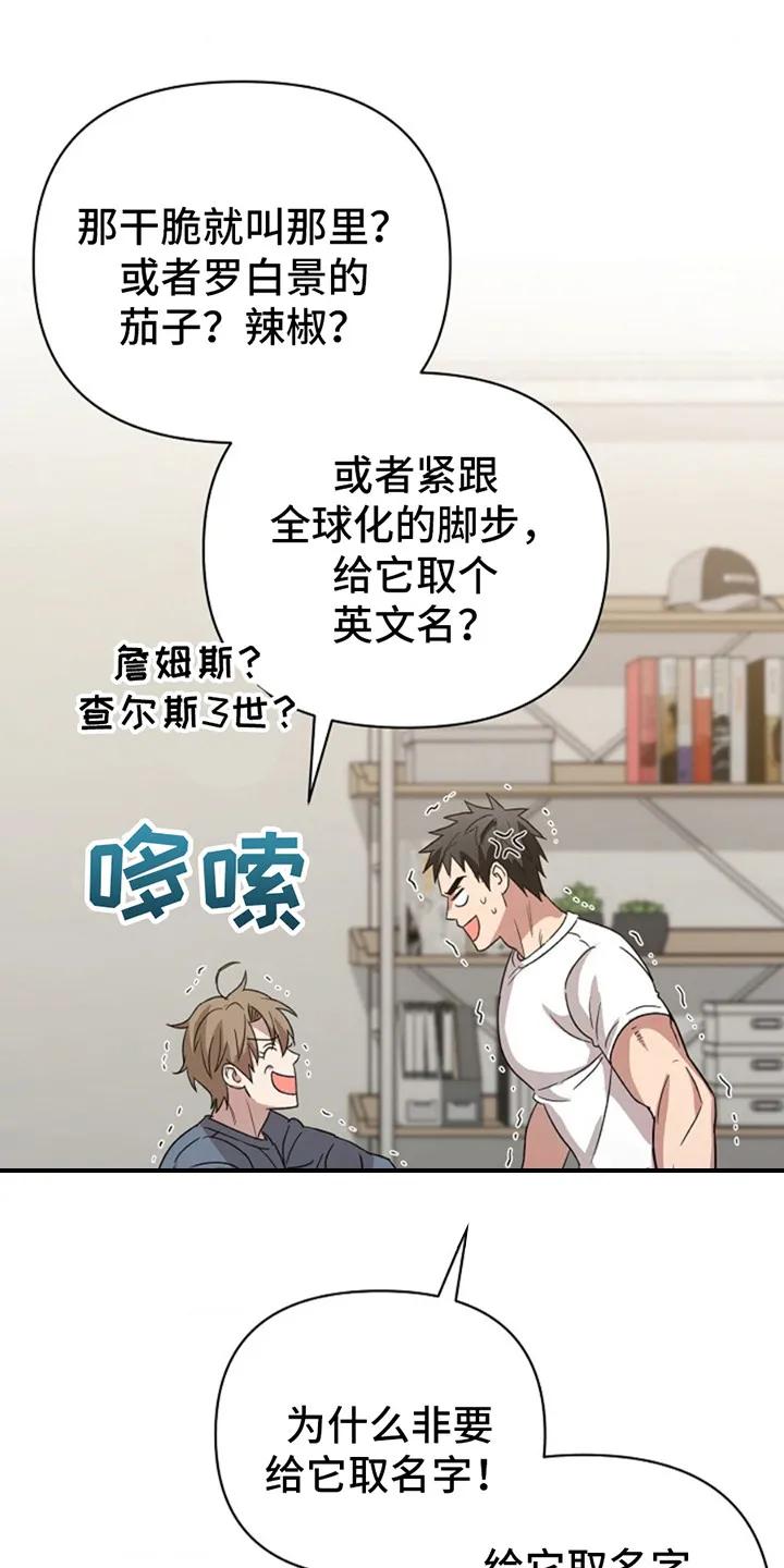 《发小软绵绵》第13章：取名字 第6页