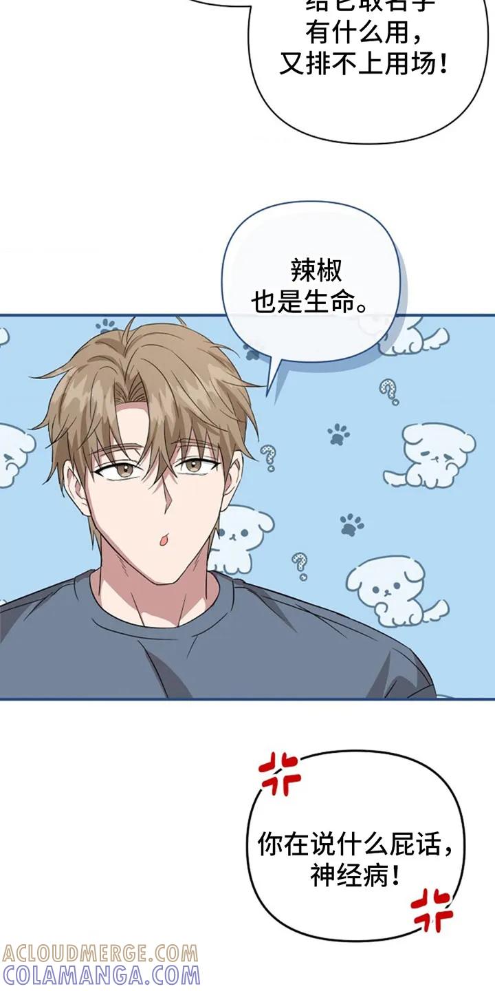 《发小软绵绵》第13章：取名字 第7页