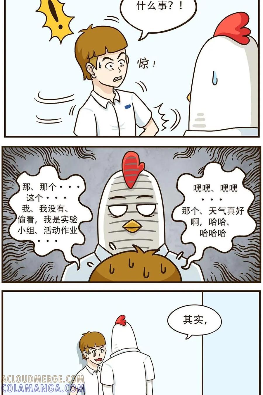 《厉害了我的鸡哥》第5话：探究 第8页