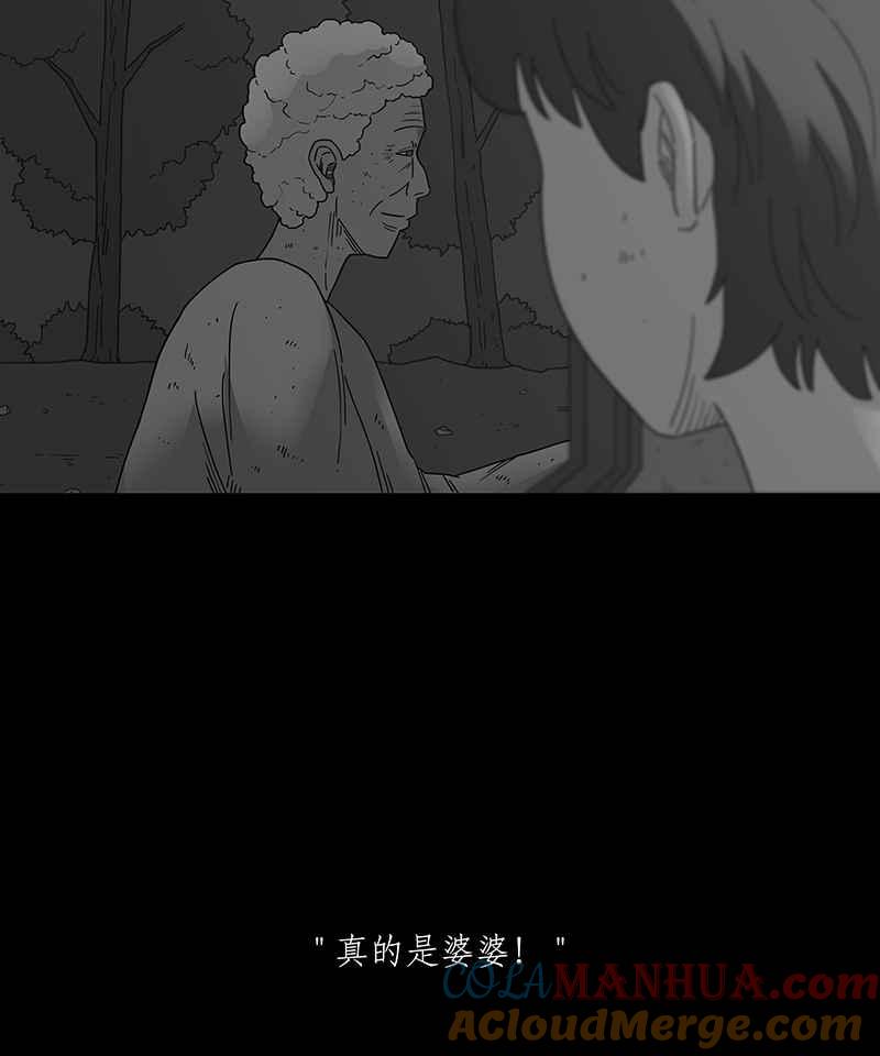黑盒子 [第239话] 虎姑婆(2) 第29页