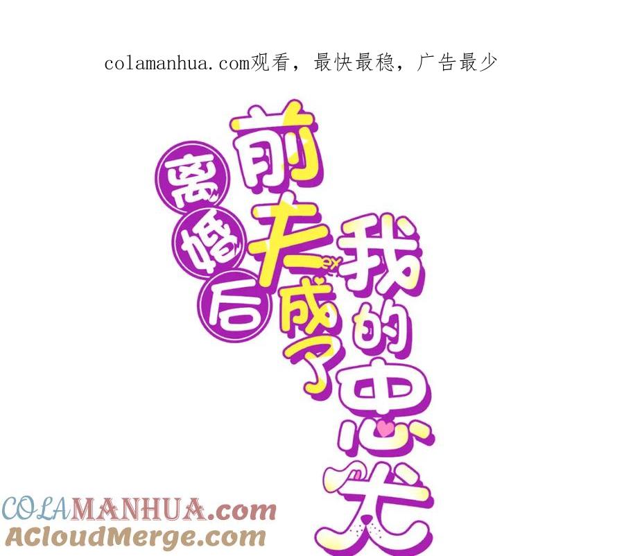 《离婚后前夫成了我的忠犬》104 这里没有你嚣张的份 第1页
