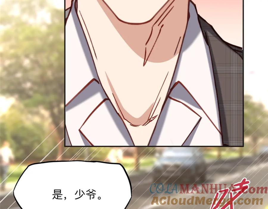 《离婚后前夫成了我的忠犬》117 被封少煌出卖 第25页