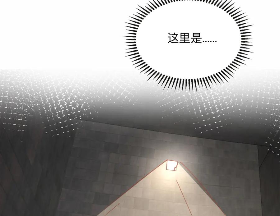 《离婚后前夫成了我的忠犬》127 夏星河失踪 第75页
