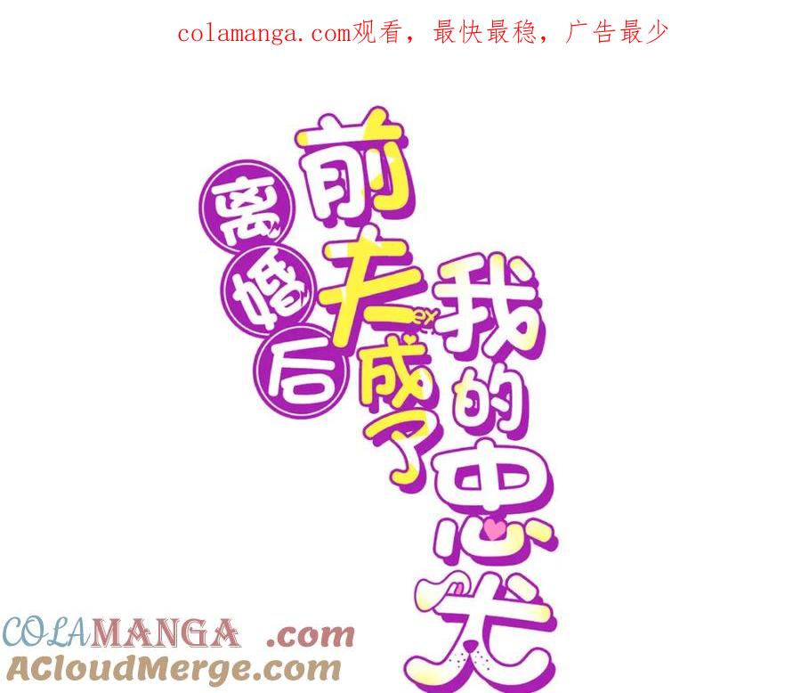 《离婚后前夫成了我的忠犬》132 举办最盛大的婚礼 第1页