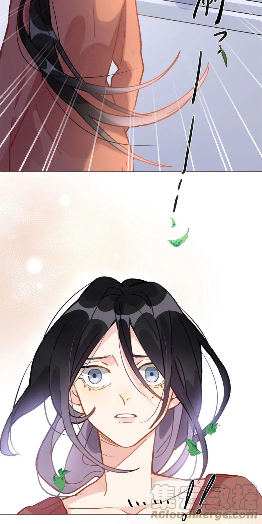 《离婚后前夫成了我的忠犬》1 记忆重回！ 第13页