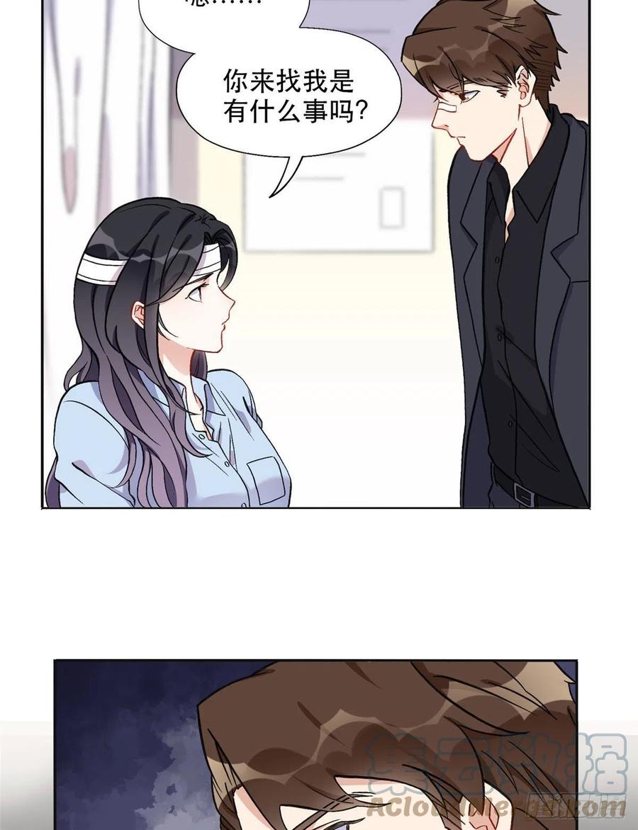 《离婚后前夫成了我的忠犬》41 去找夏无双 第3页