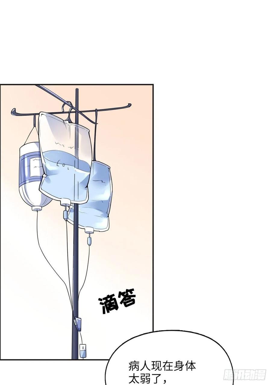 《离婚后前夫成了我的忠犬》5 星河初露锋芒 第24页